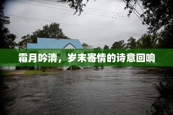 霜月吟清，岁末寄情的诗意回响