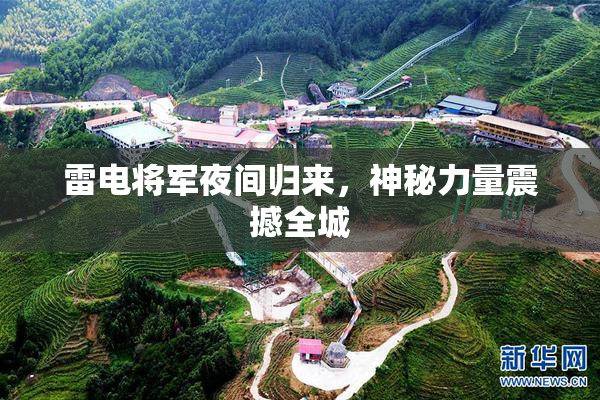 雷电将军夜间归来，神秘力量震撼全城