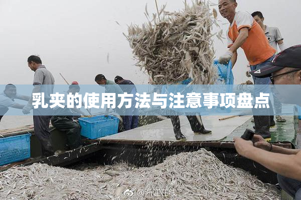 乳夹的使用方法与注意事项盘点