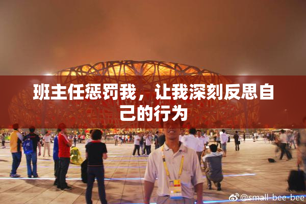 班主任惩罚我，让我深刻反思自己的行为