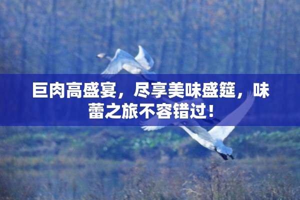 巨肉高盛宴，尽享美味盛筵，味蕾之旅不容错过！