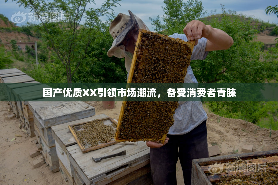 国产优质XX引领市场潮流，备受消费者青睐