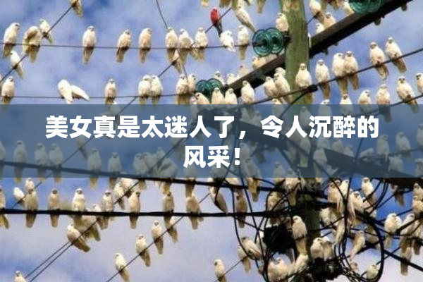 美女真是太迷人了，令人沉醉的风采！
