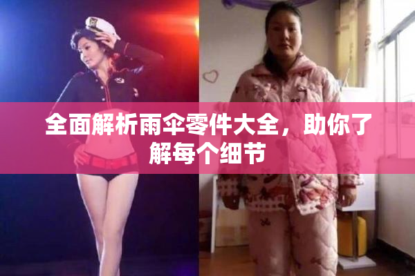 全面解析雨伞零件大全，助你了解每个细节