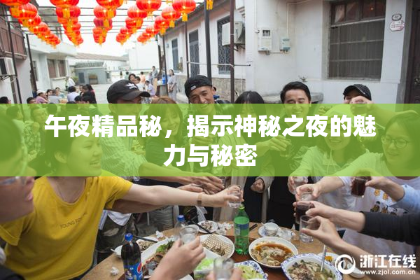 午夜精品秘，揭示神秘之夜的魅力与秘密