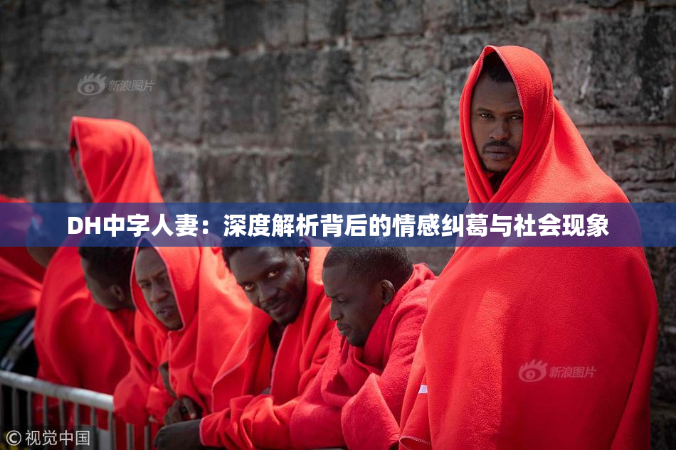 DH中字人妻：深度解析背后的情感纠葛与社会现象