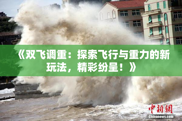 《双飞调重：探索飞行与重力的新玩法，精彩纷呈！》