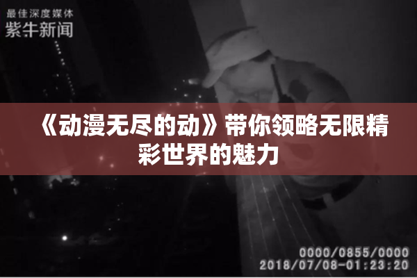 《动漫无尽的动》带你领略无限精彩世界的魅力