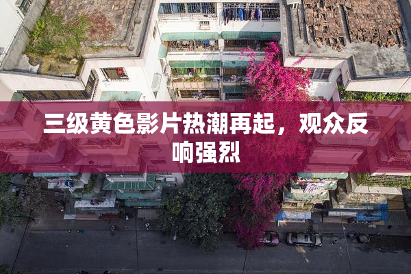 三级黄色影片热潮再起，观众反响强烈