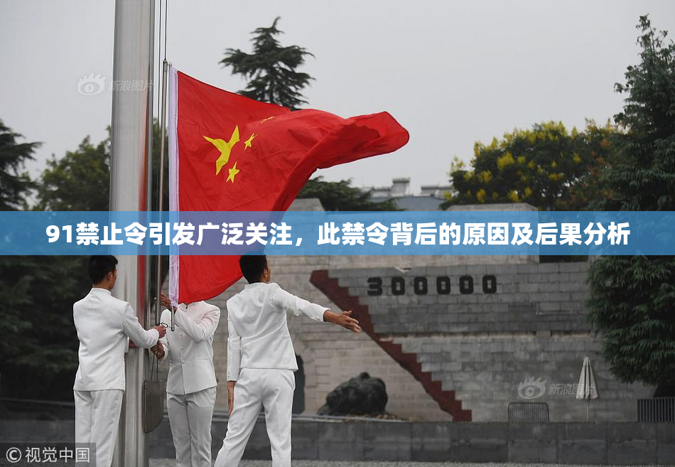 91禁止令引发广泛关注，此禁令背后的原因及后果分析
