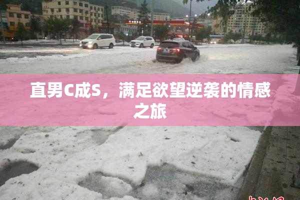 直男C成S，满足欲望逆袭的情感之旅