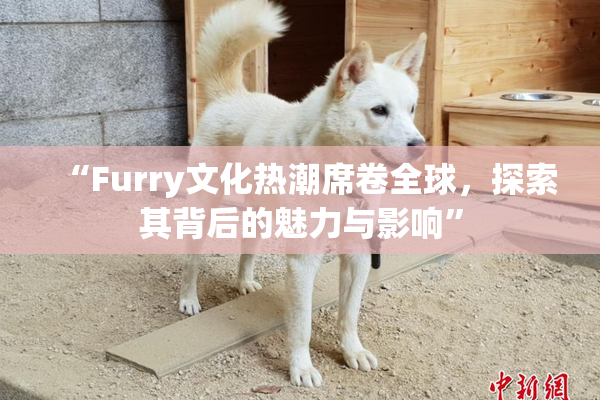 “Furry文化热潮席卷全球，探索其背后的魅力与影响”