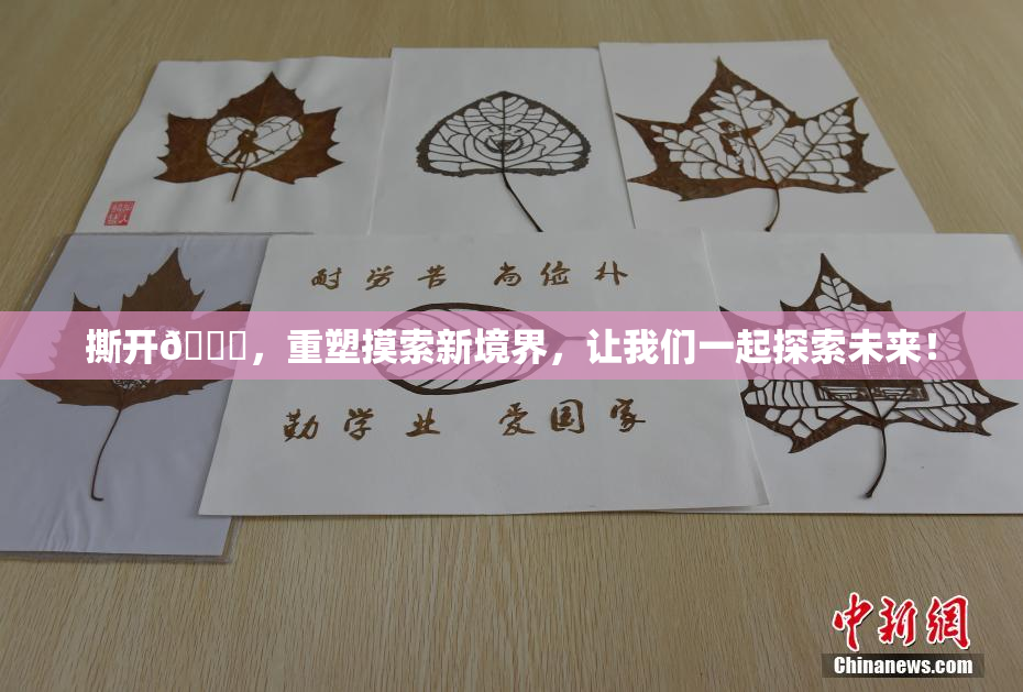 撕开👙，重塑摸索新境界，让我们一起探索未来！