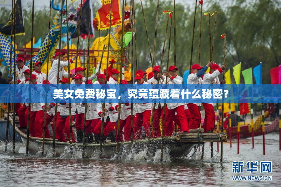 美女免费秘宝，究竟蕴藏着什么秘密？