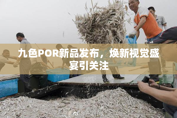 九色POR新品发布，焕新视觉盛宴引关注