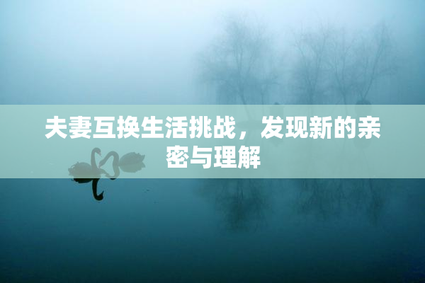 夫妻互换生活挑战，发现新的亲密与理解