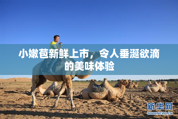 小嫩苞新鲜上市，令人垂涎欲滴的美味体验