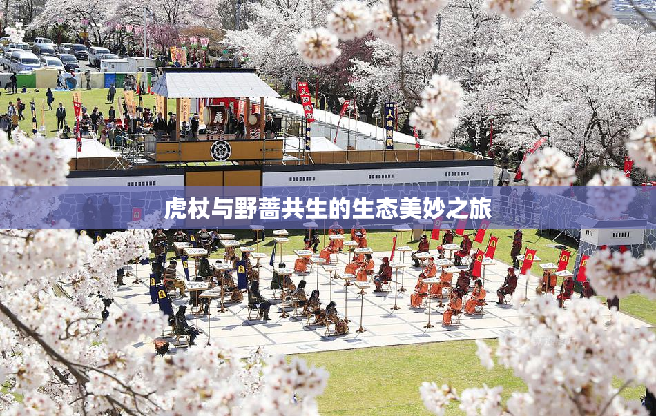 虎杖与野蔷共生的生态美妙之旅