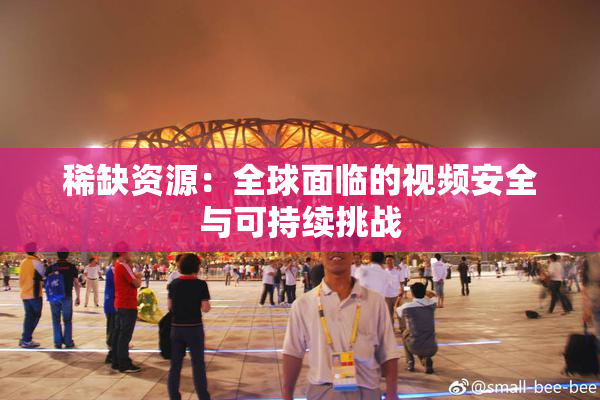 稀缺资源：全球面临的视频安全与可持续挑战