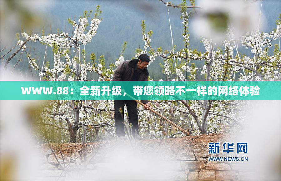 WWW.88：全新升级，带您领略不一样的网络体验