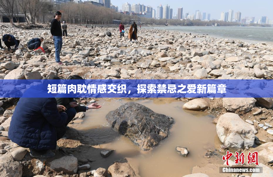 短篇肉耽情感交织，探索禁忌之爱新篇章