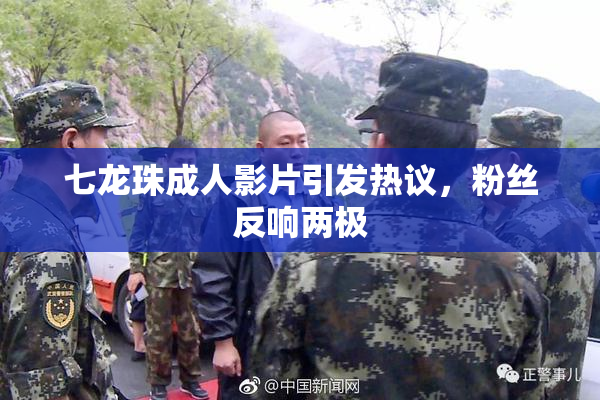 七龙珠成人影片引发热议，粉丝反响两极