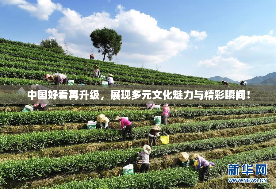 中国好看再升级，展现多元文化魅力与精彩瞬间！