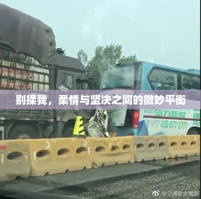 别揉我，柔情与坚决之间的微妙平衡