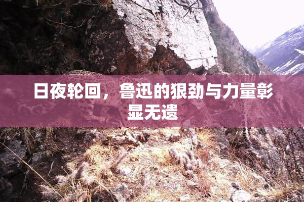 日夜轮回，鲁迅的狠劲与力量彰显无遗