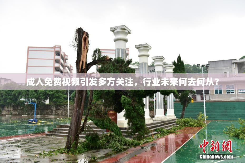 成人免费视频引发多方关注，行业未来何去何从？
