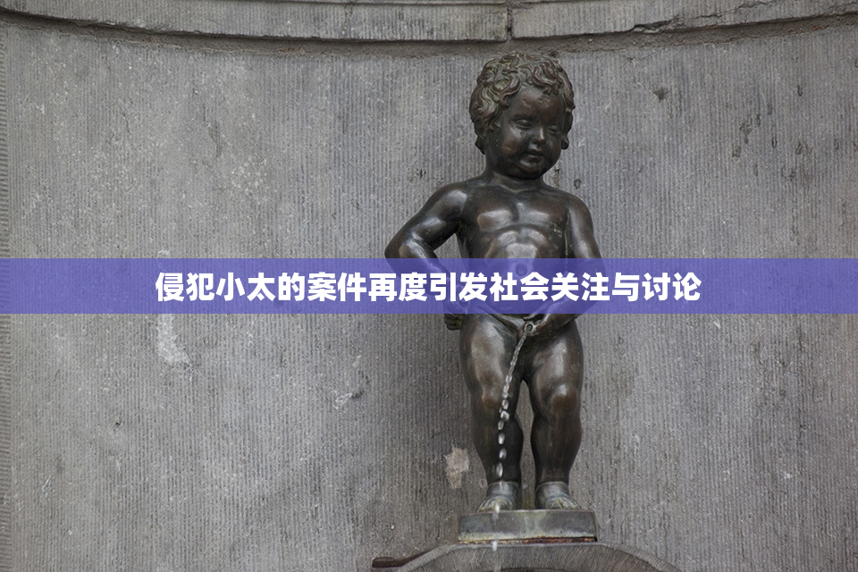 侵犯小太的案件再度引发社会关注与讨论