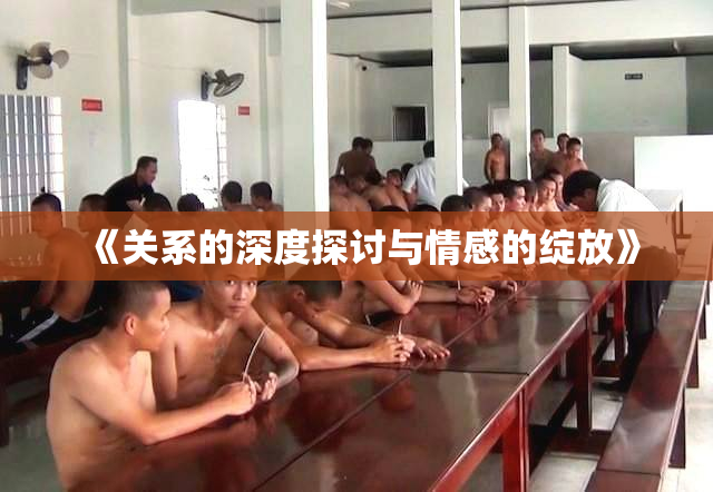 《关系的深度探讨与情感的绽放》
