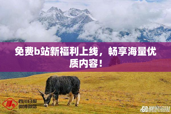 免费b站新福利上线，畅享海量优质内容！