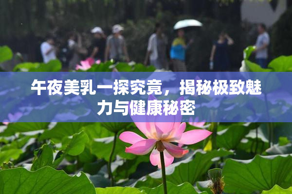 午夜美乳一探究竟，揭秘极致魅力与健康秘密