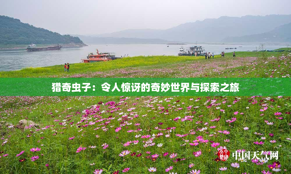 猎奇虫子：令人惊讶的奇妙世界与探索之旅
