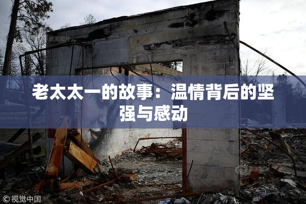 老太太一的故事：温情背后的坚强与感动
