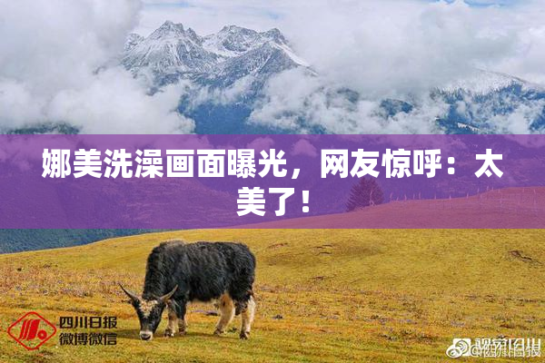 娜美洗澡画面曝光，网友惊呼：太美了！