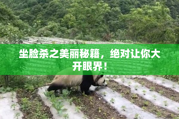 坐脸杀之美丽秘籍，绝对让你大开眼界！