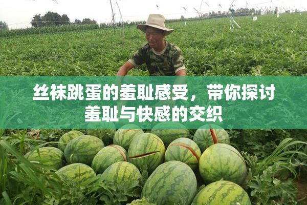 丝袜跳蛋的羞耻感受，带你探讨羞耻与快感的交织