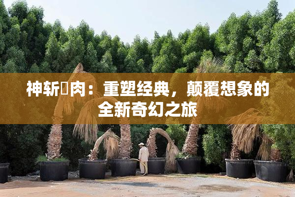 神斩婬肉：重塑经典，颠覆想象的全新奇幻之旅