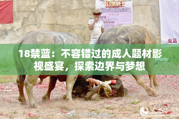 18禁蓝：不容错过的成人题材影视盛宴，探索边界与梦想