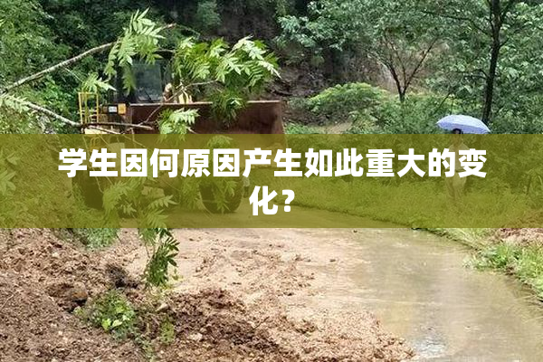 学生因何原因产生如此重大的变化？