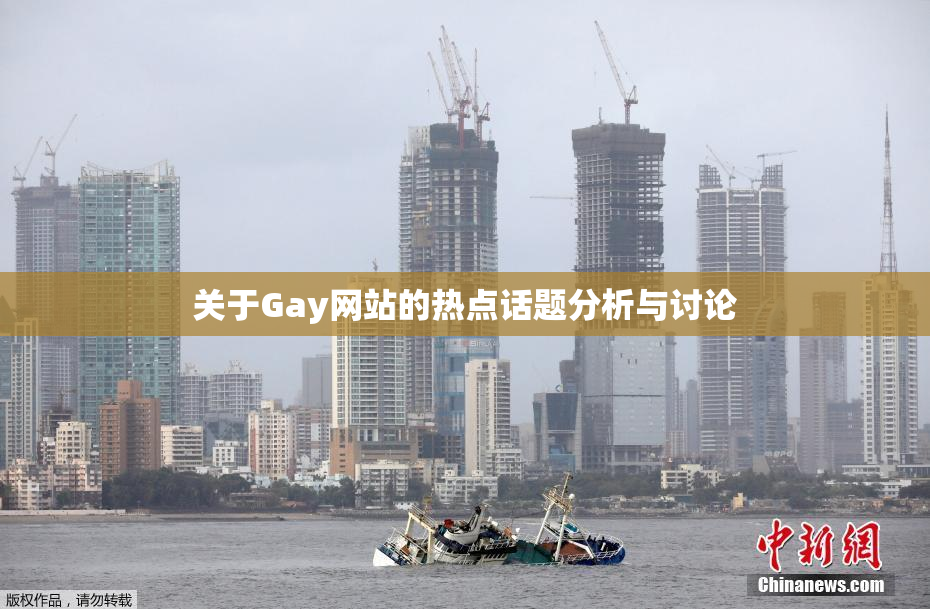 关于Gay网站的热点话题分析与讨论