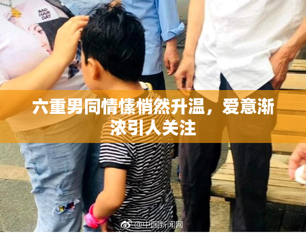 六重男同情愫悄然升温，爱意渐浓引人关注