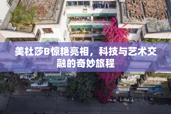 美杜莎B惊艳亮相，科技与艺术交融的奇妙旅程