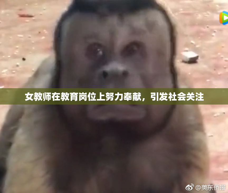 女教师在教育岗位上努力奉献，引发社会关注