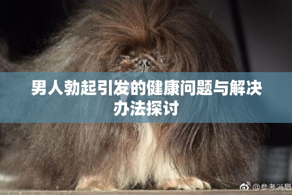 男人勃起引发的健康问题与解决办法探讨