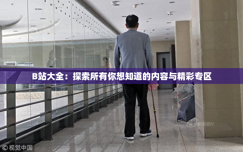 B站大全：探索所有你想知道的内容与精彩专区