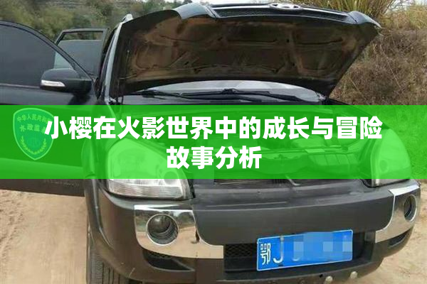小樱在火影世界中的成长与冒险故事分析