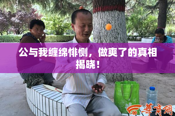 公与我缠绵悱恻，做爽了的真相揭晓！